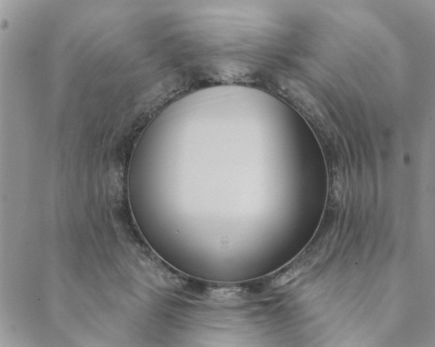 X0000089420461200706291037