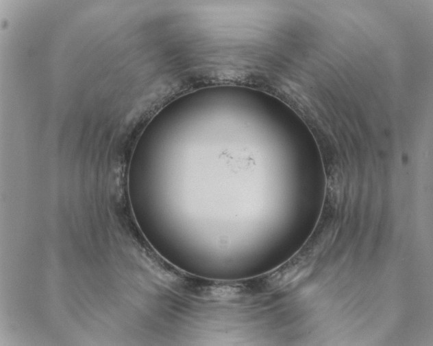 X0000089420462200706291037