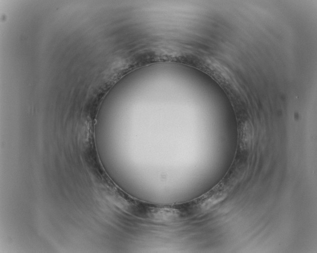 X0000089420463200706291037