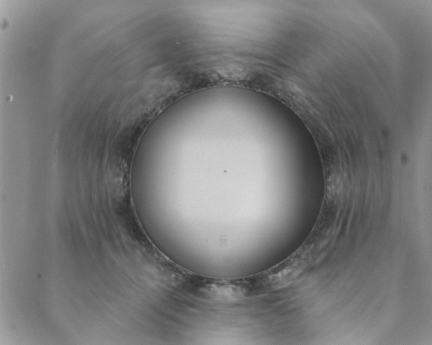 X0000089420464200706291037