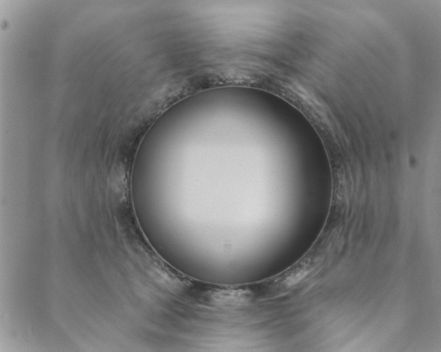 X0000089420465200706291037