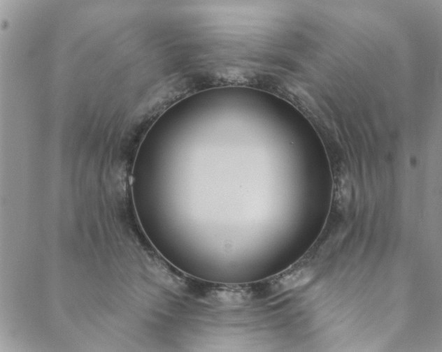 X0000089420466200706291037