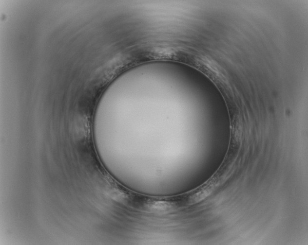 X0000089420467200706291037