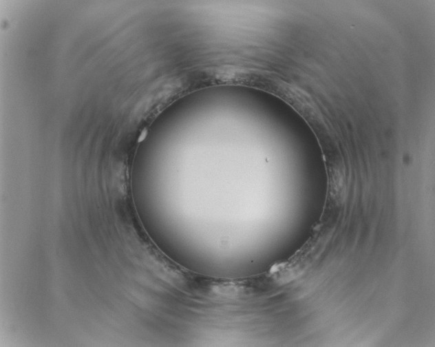 X0000089420470200706291037