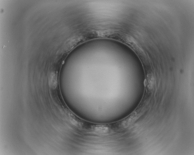 X0000089420471200706291037