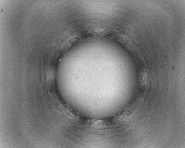 X0000089420472200706291037