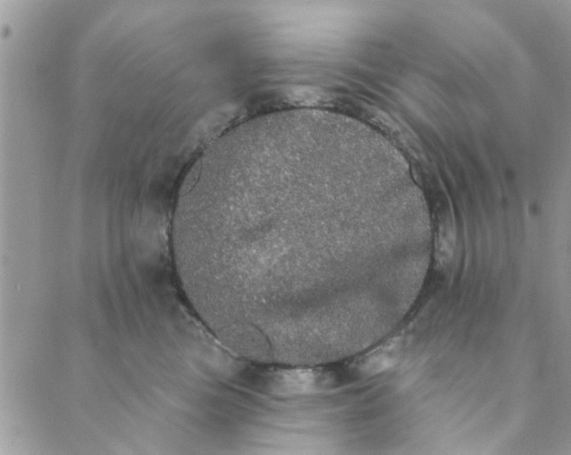 X0000089420473200706291037