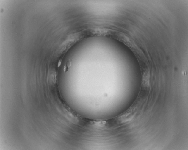 X0000089420474200706291037