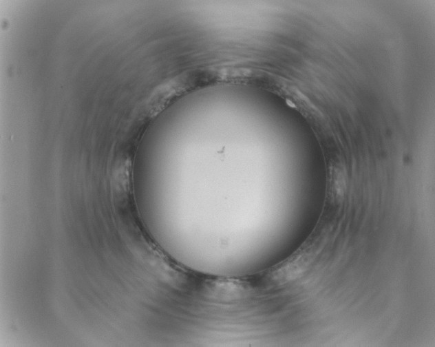 X0000089420475200706291037