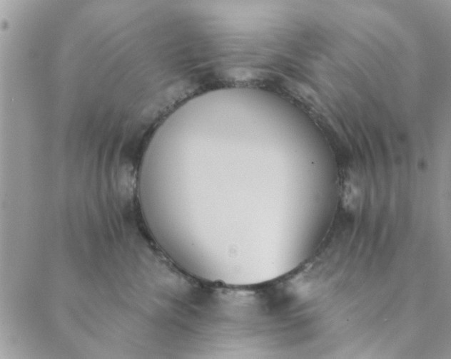 X0000089420476200706291037