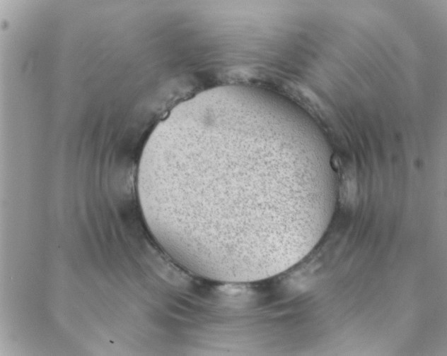 X0000089420477200706291037