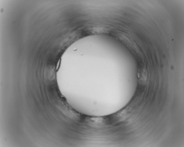 X0000089420478200706291037