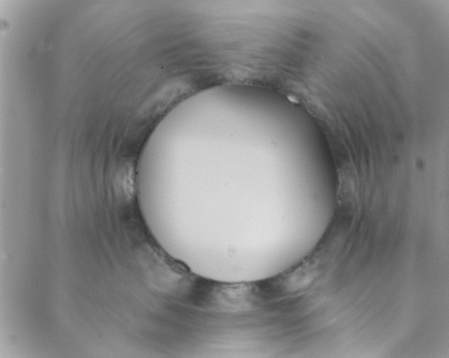 X0000089420479200706291037