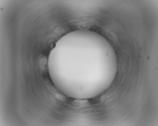 X0000089420480200706291037