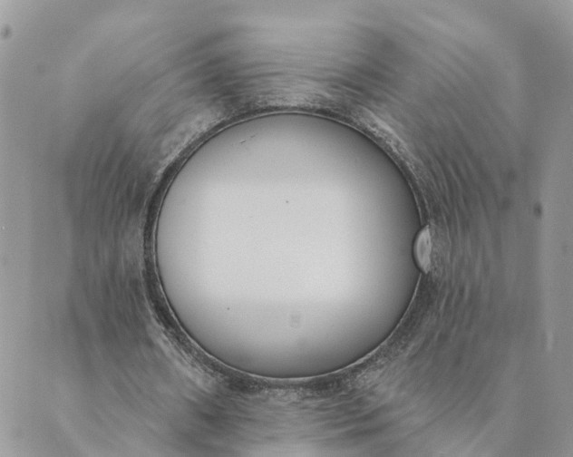 X0000089420482200706291037