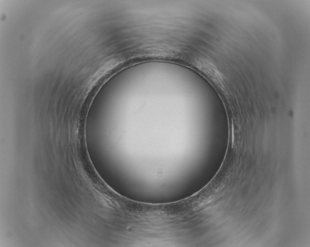 X0000089420483200706291036