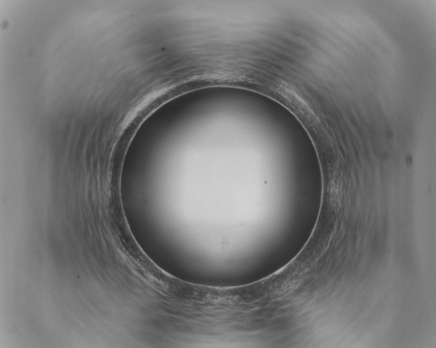 X0000089420484200706291036