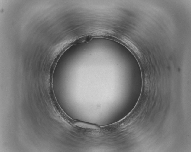 X0000089420485200706291036