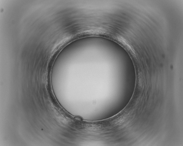 X0000089420486200706291036