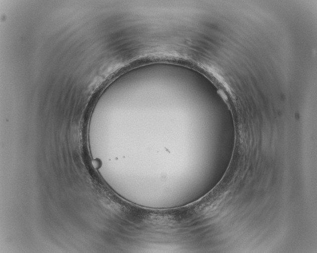 X0000089420487200706291036