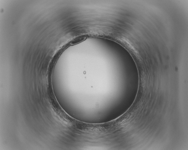 X0000089420488200706291036