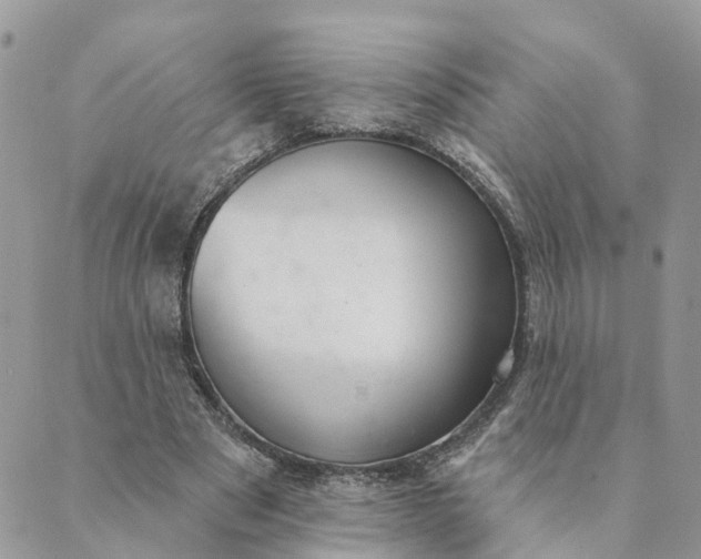 X0000089420489200706291036