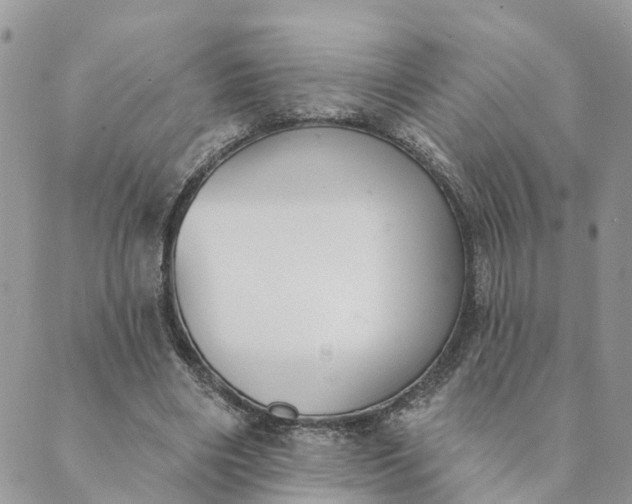 X0000089420490200706291036