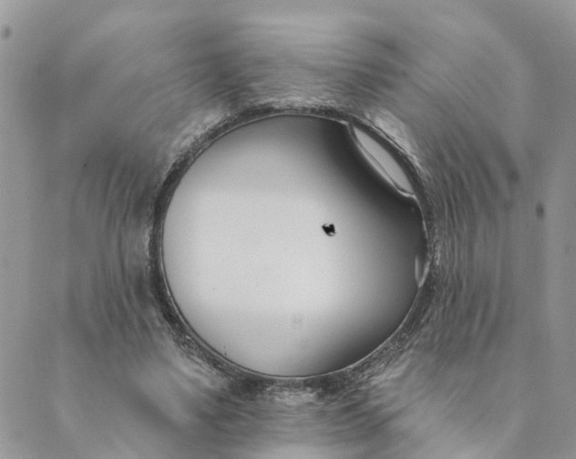 X0000089420491200706291036