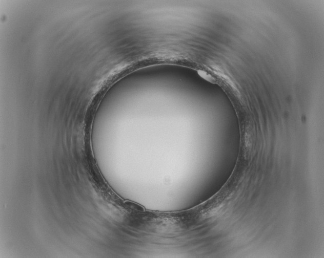 X0000089420492200706291036