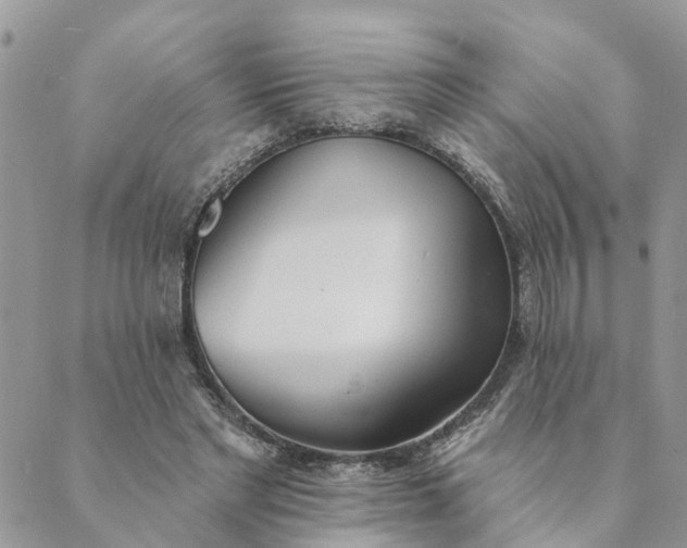 X0000089420493200706291036