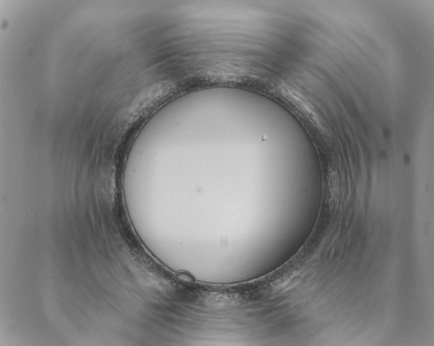 X0000089420494200706291036