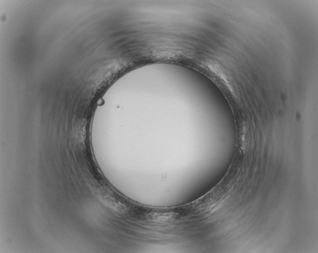 X0000089420495200706291036