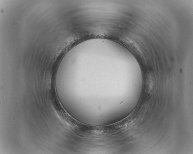 X0000089420496200706291036