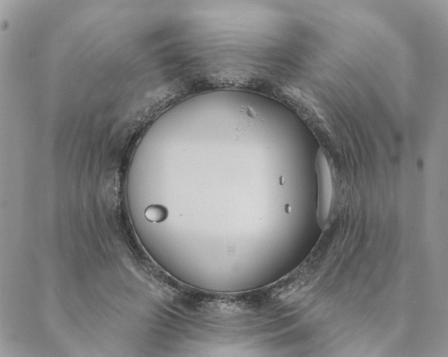 X0000089420498200706291036