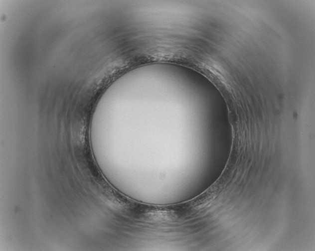 X0000089420499200706291036