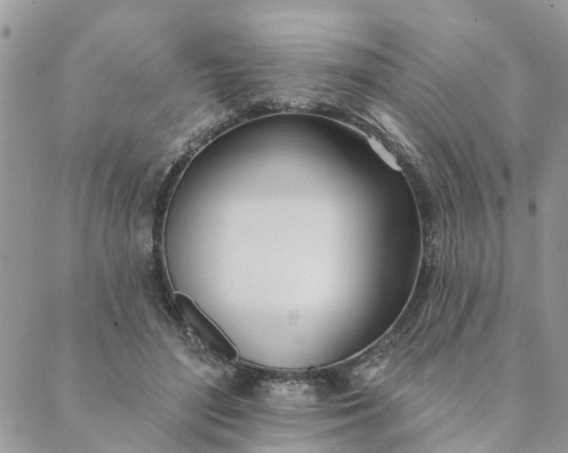 X0000089420500200706291036