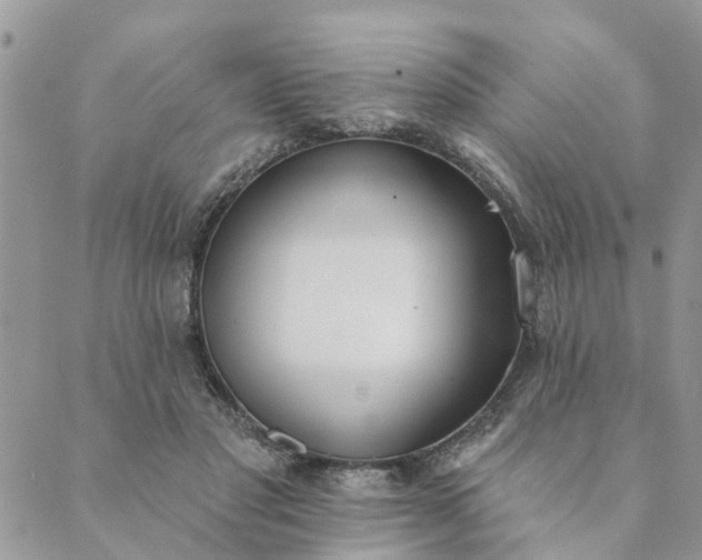 X0000089420501200706291036