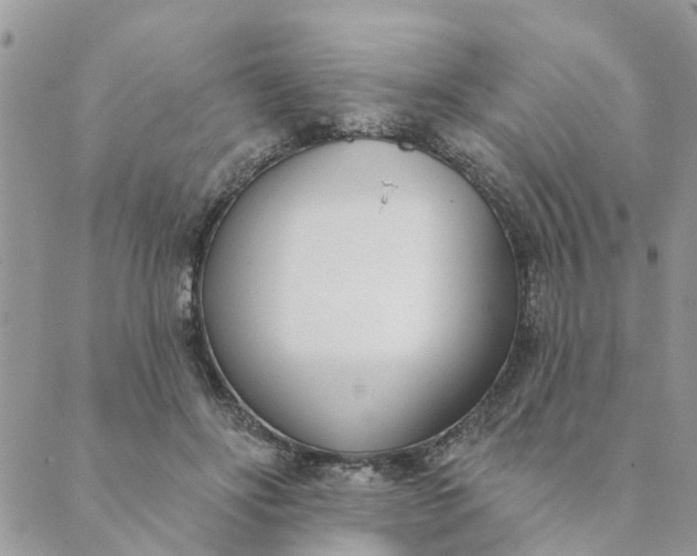 X0000089420502200706291036