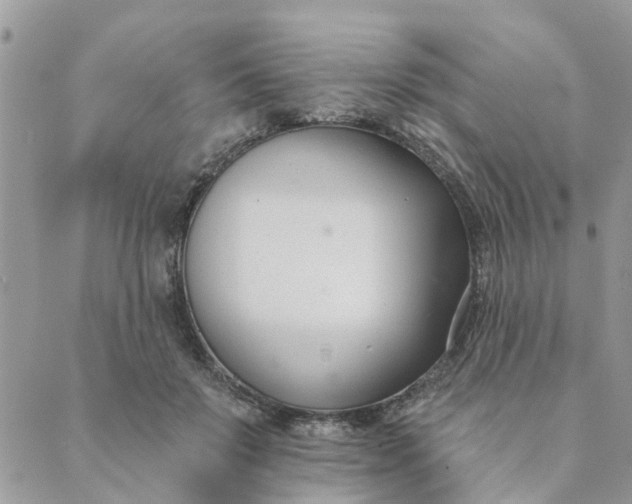 X0000089420503200706291036