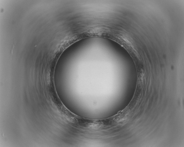 X0000089420504200706291036