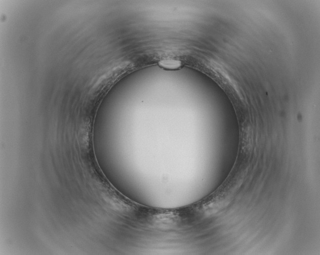 X0000089420505200706291036