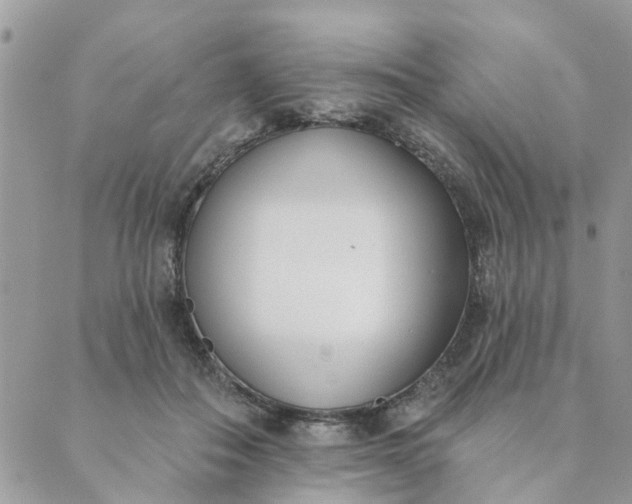 X0000089420506200706291036