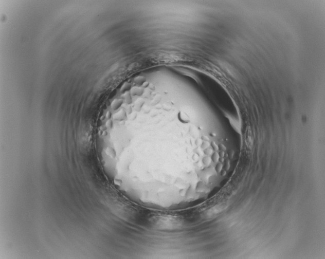 X0000089420507200706291036