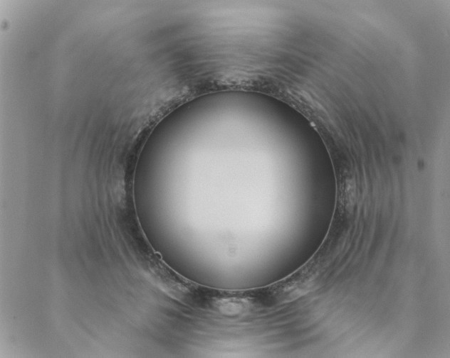 X0000089420508200706291036