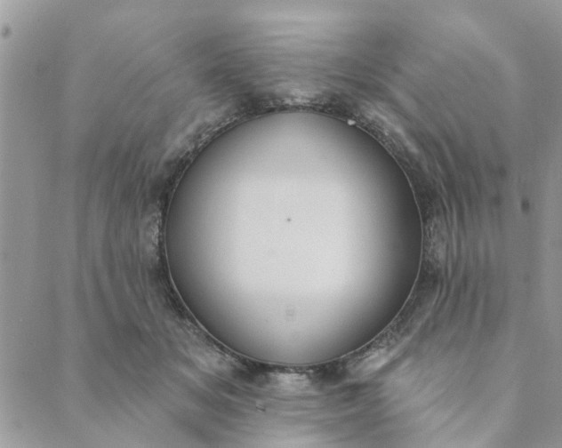 X0000089420509200706291036