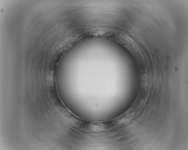 X0000089420510200706291036