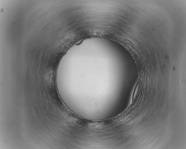 X0000089420511200706291036