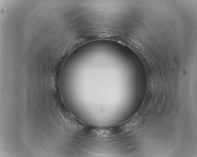 X0000089420512200706291036