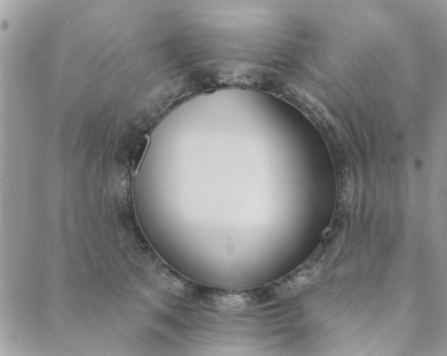 X0000089420513200706291036