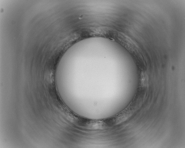 X0000089420514200706291036